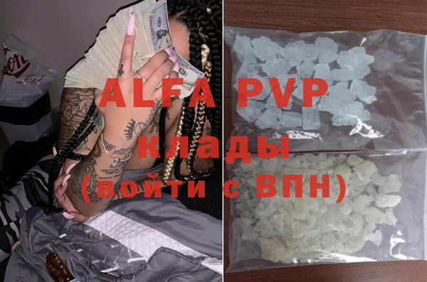 прущие грибы Новозыбков