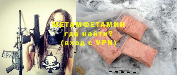прущие грибы Новозыбков