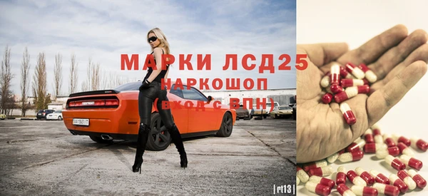 прущие грибы Новозыбков