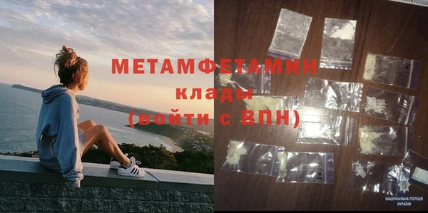 прущие грибы Новозыбков