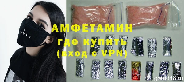 прущие грибы Новозыбков