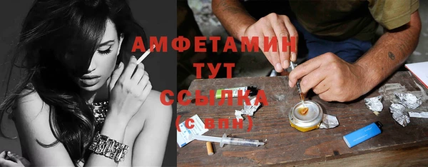 прущие грибы Новозыбков